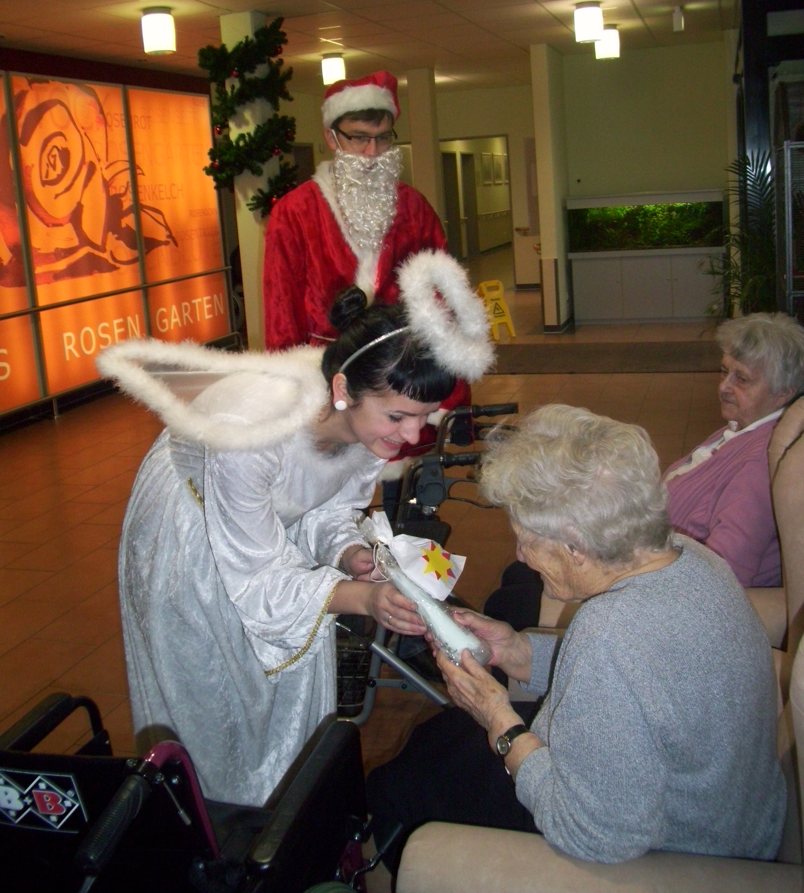 100 2750 image-50601