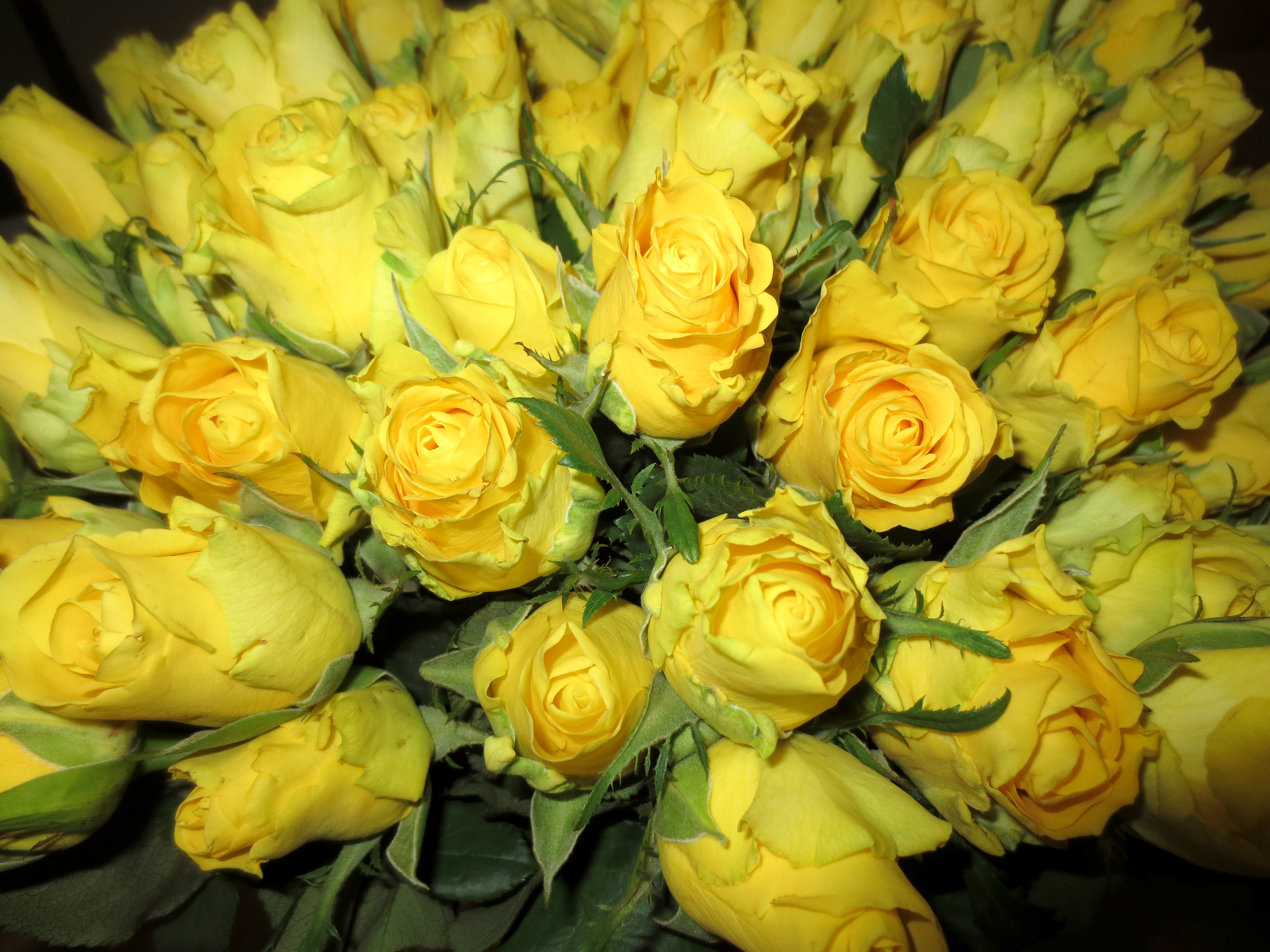 image-59630