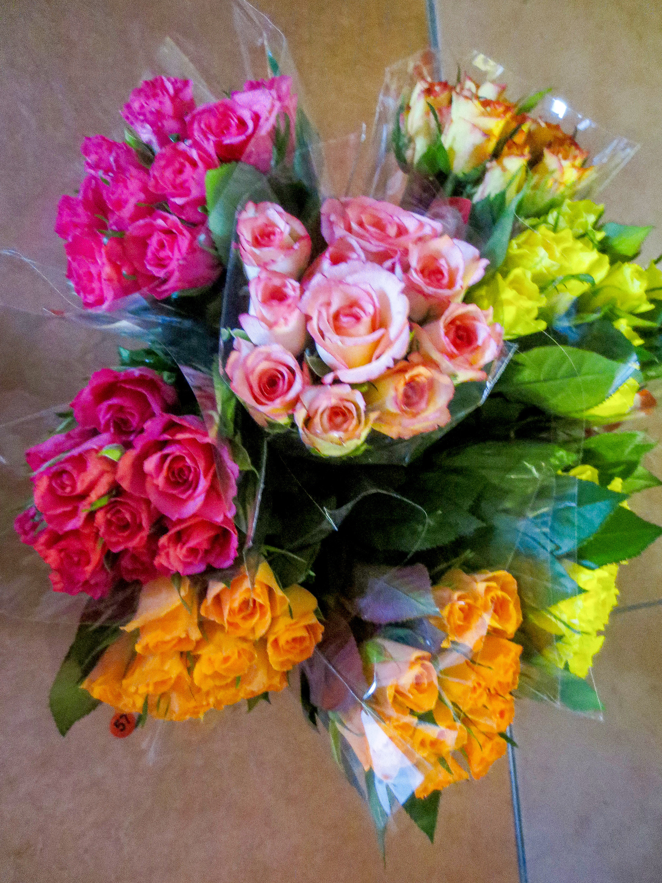 image-65504