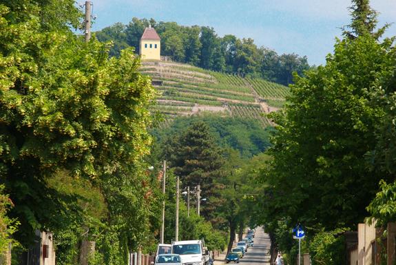 IMG_1384_Radebeul_Aussicht_Weinberg_2011_quer